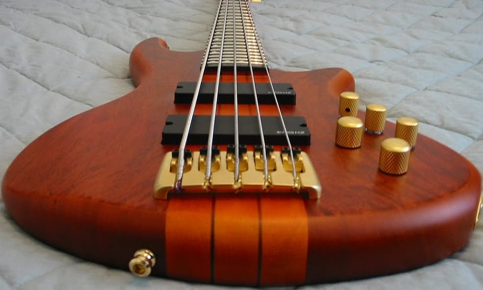 schecter5.jpg