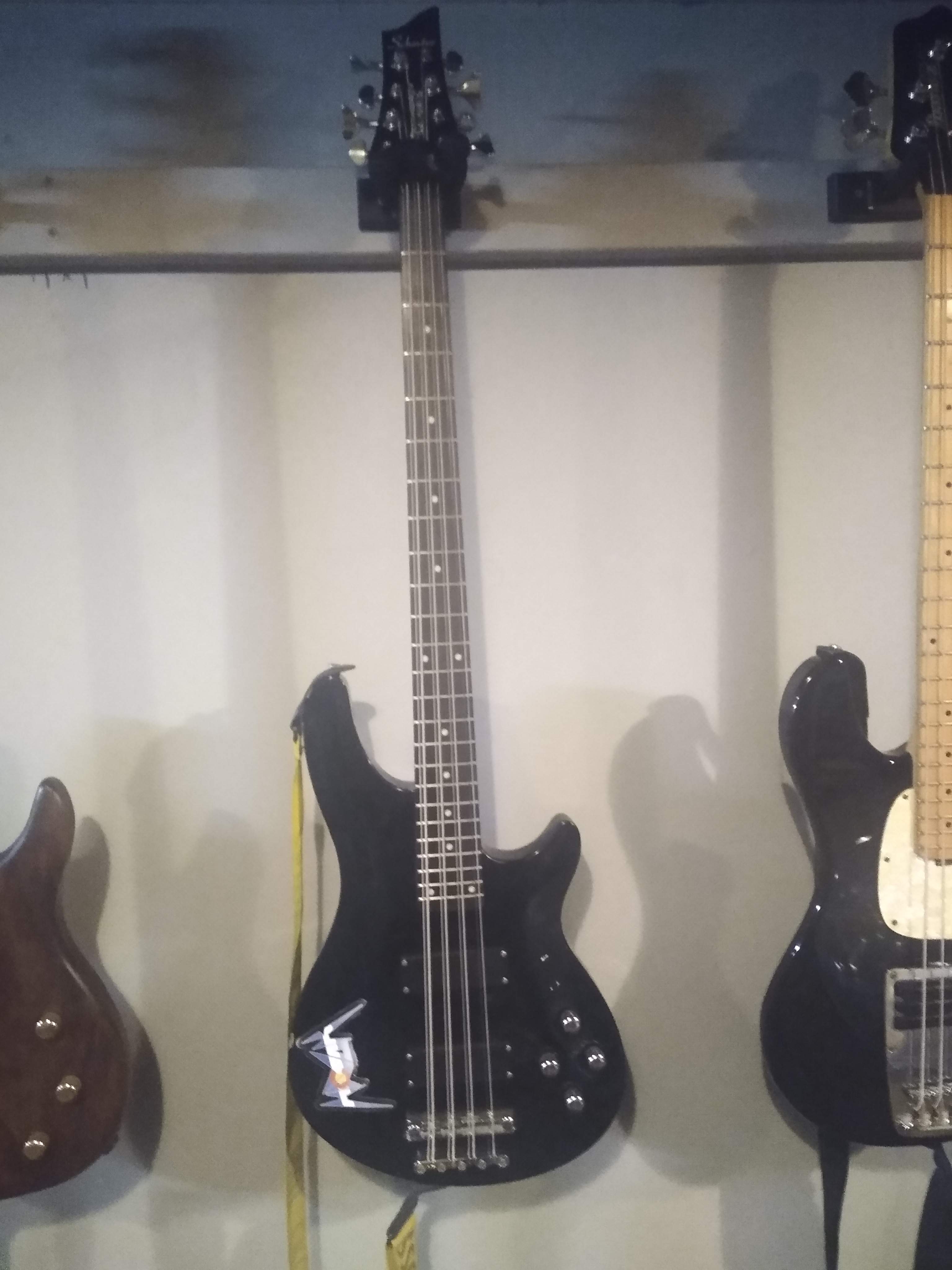 SCHECTER8.jpg