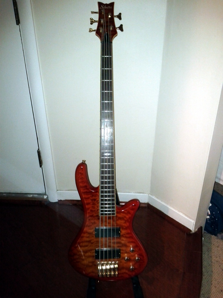 Schecter_0631836_sm.jpg