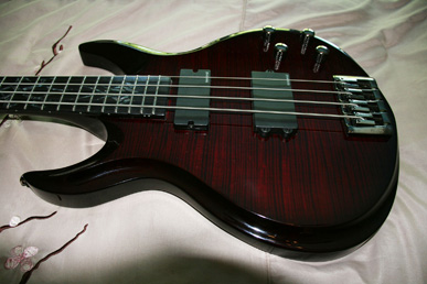 Schecter_DV4_Limited_Body_20.jpg
