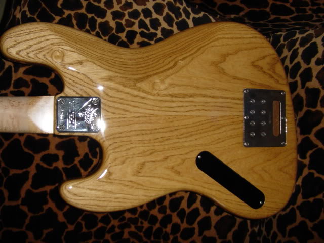 Schecterback.jpg