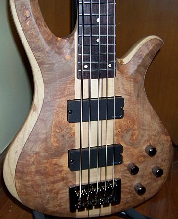 SchecterBody.jpg