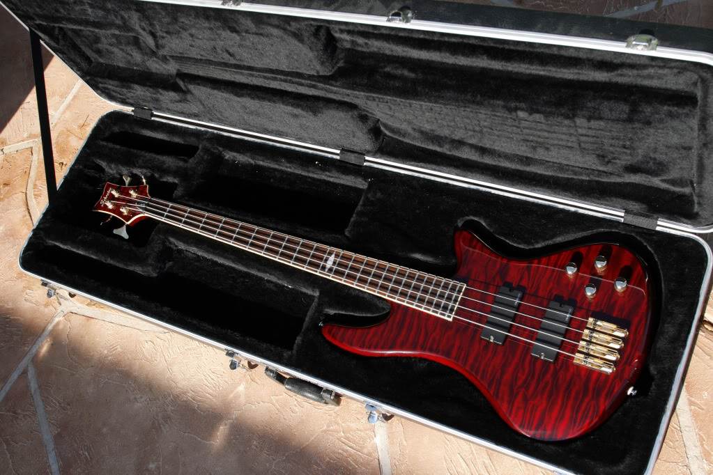 Schectercase1.jpg