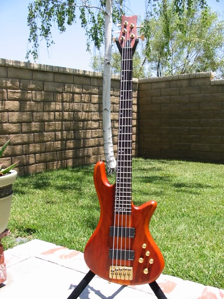 schecterinthesun.jpg