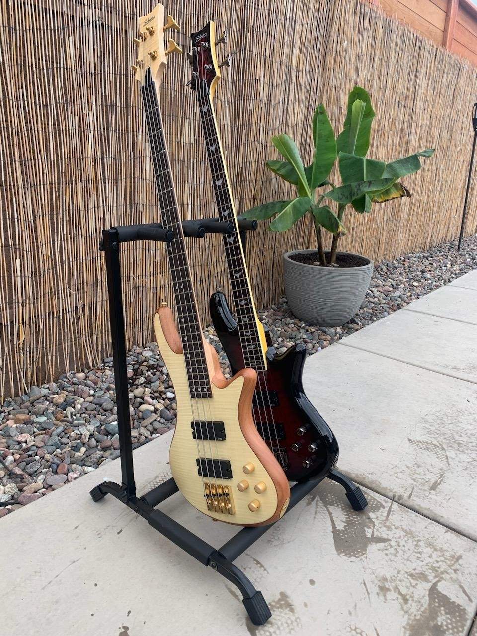 schecters01.jpg