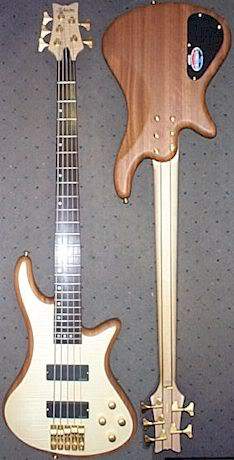 SchecterStilettoCustom5NATBig.jpg