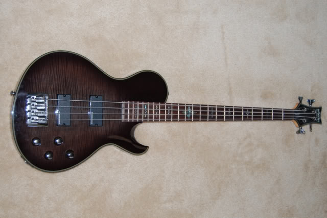 SchecterwithBasslines.jpg