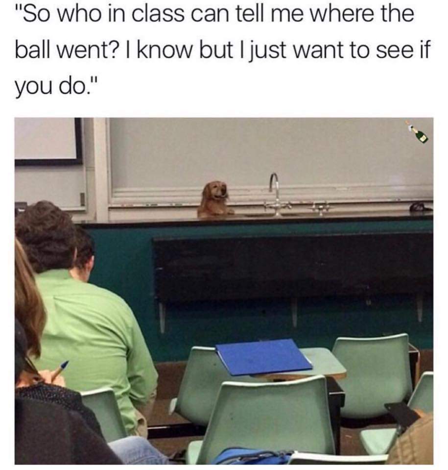science dog ball.jpg