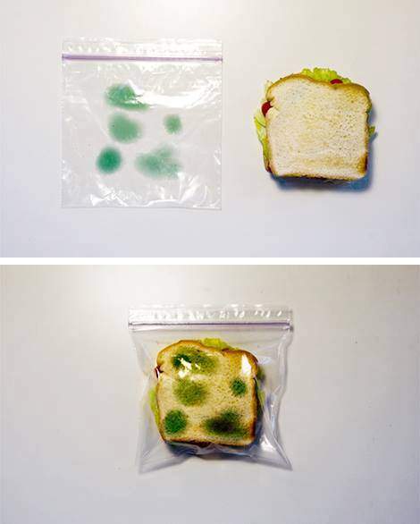 science-experiment-lunch-bag-1.jpg