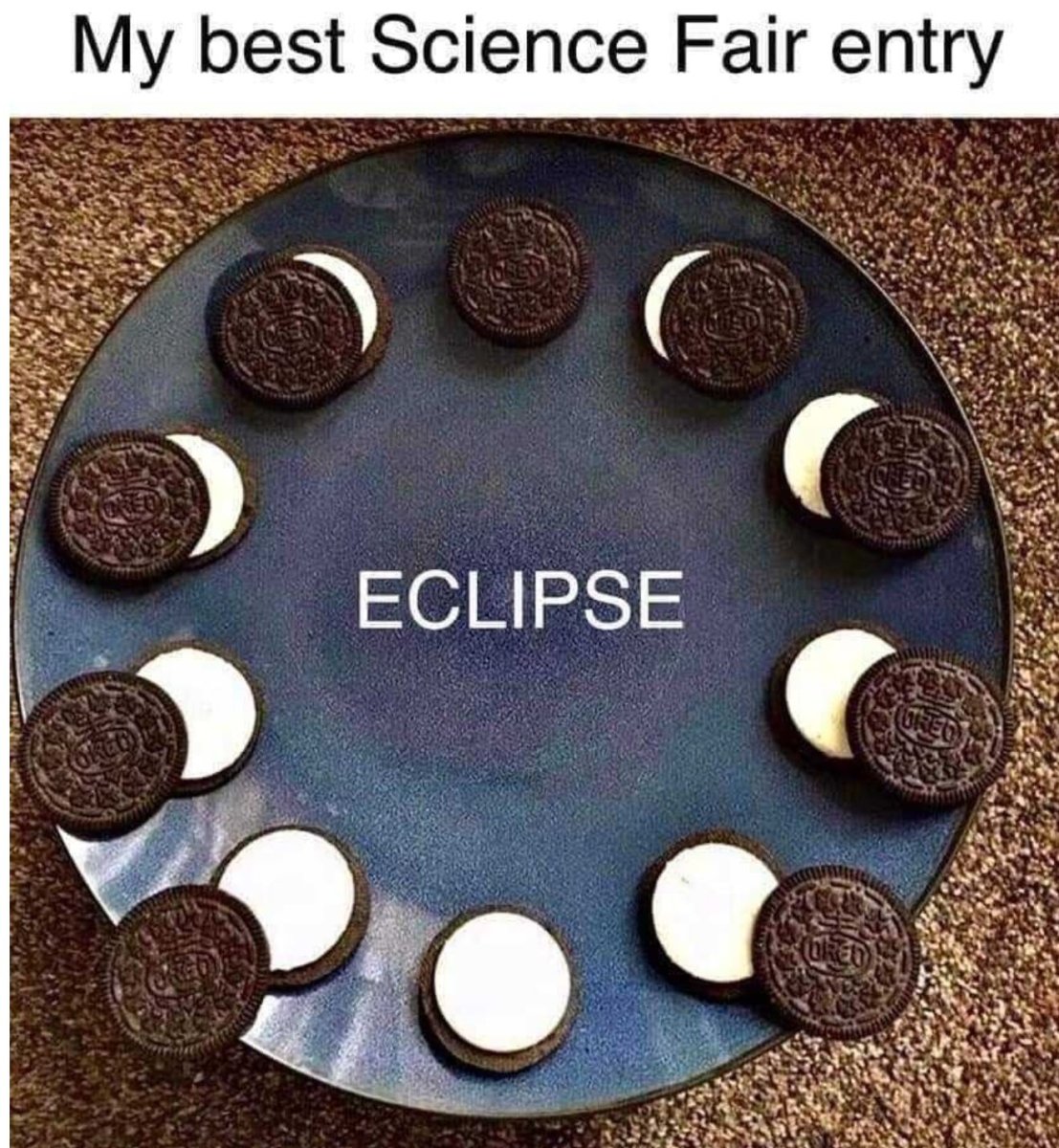 ScienceProject.JPG