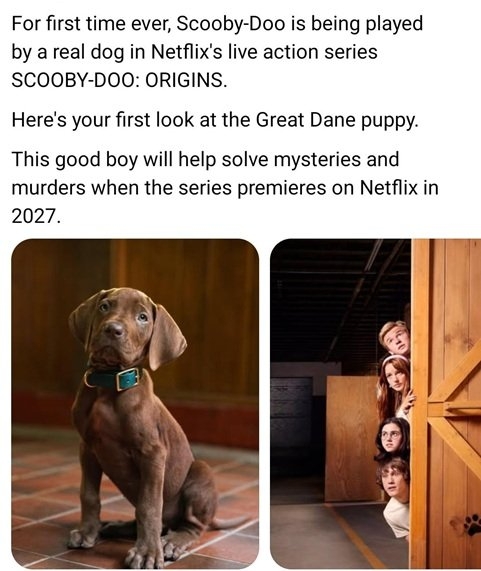 scooby dog.jpg