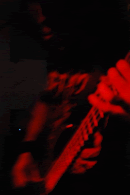 Scotty-1.gif