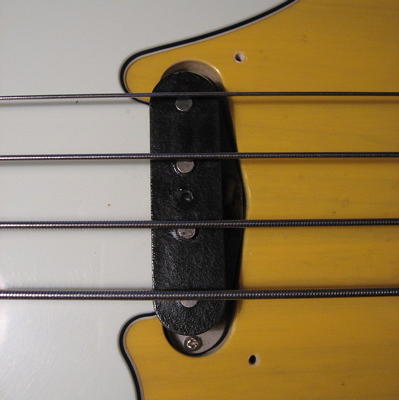 SCPB_closeup.jpg