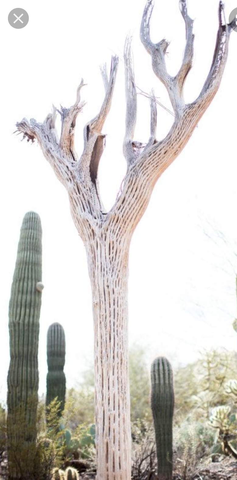 Screenshot_20201205-154827_Google.jpg