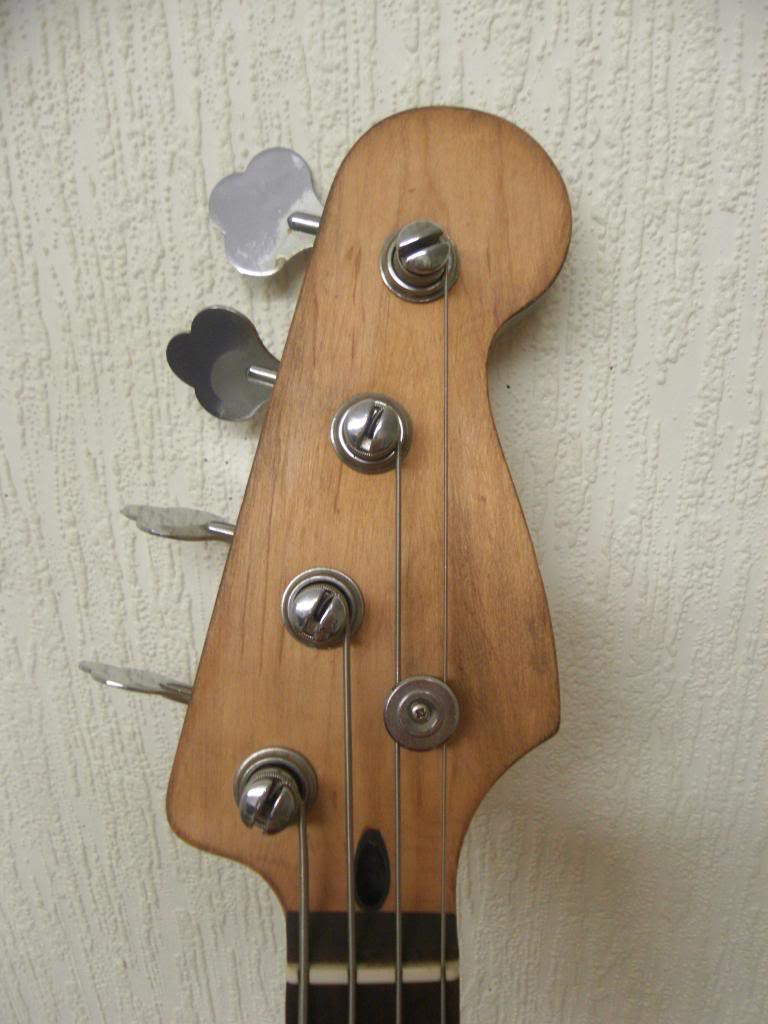 SDC10095.jpg