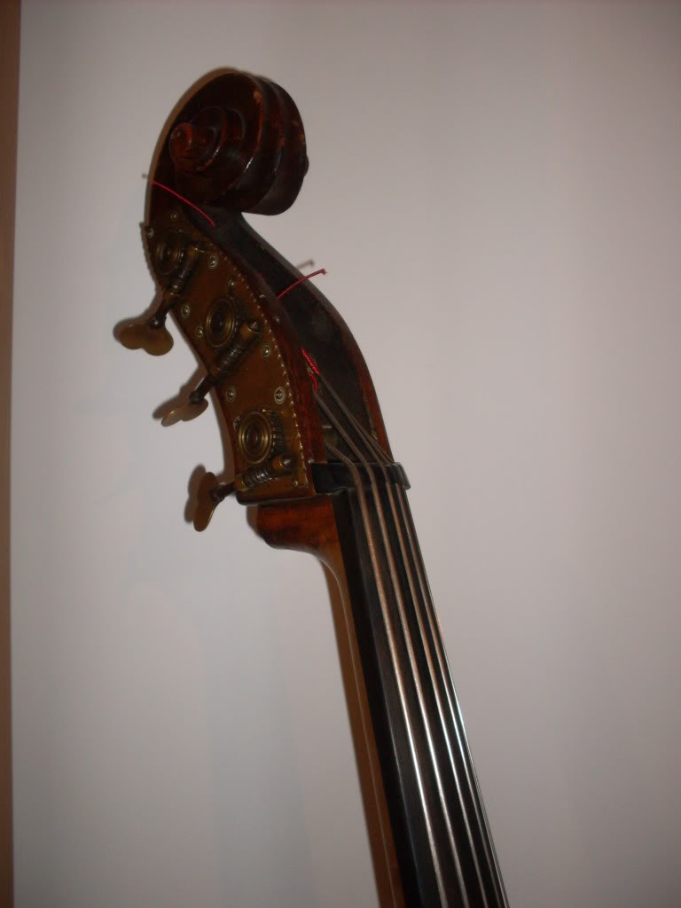 SDC10444.jpg