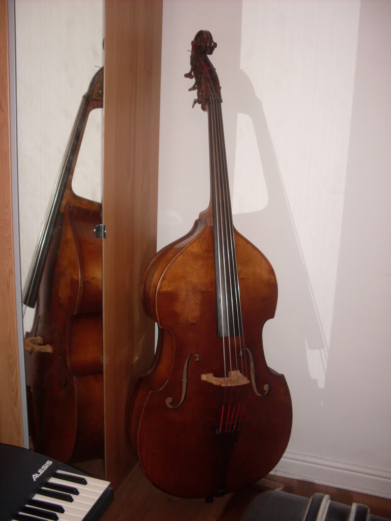 SDC10447.jpg
