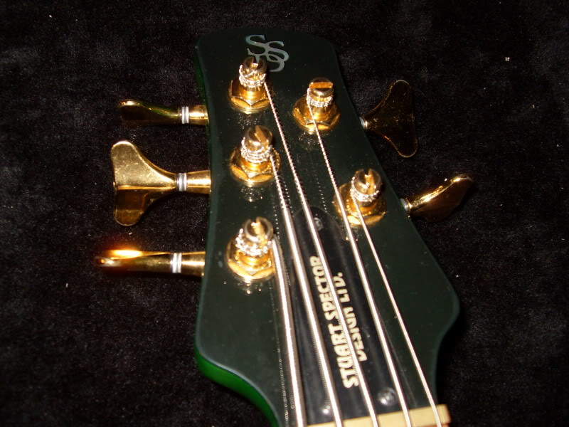 SDC10485.jpg