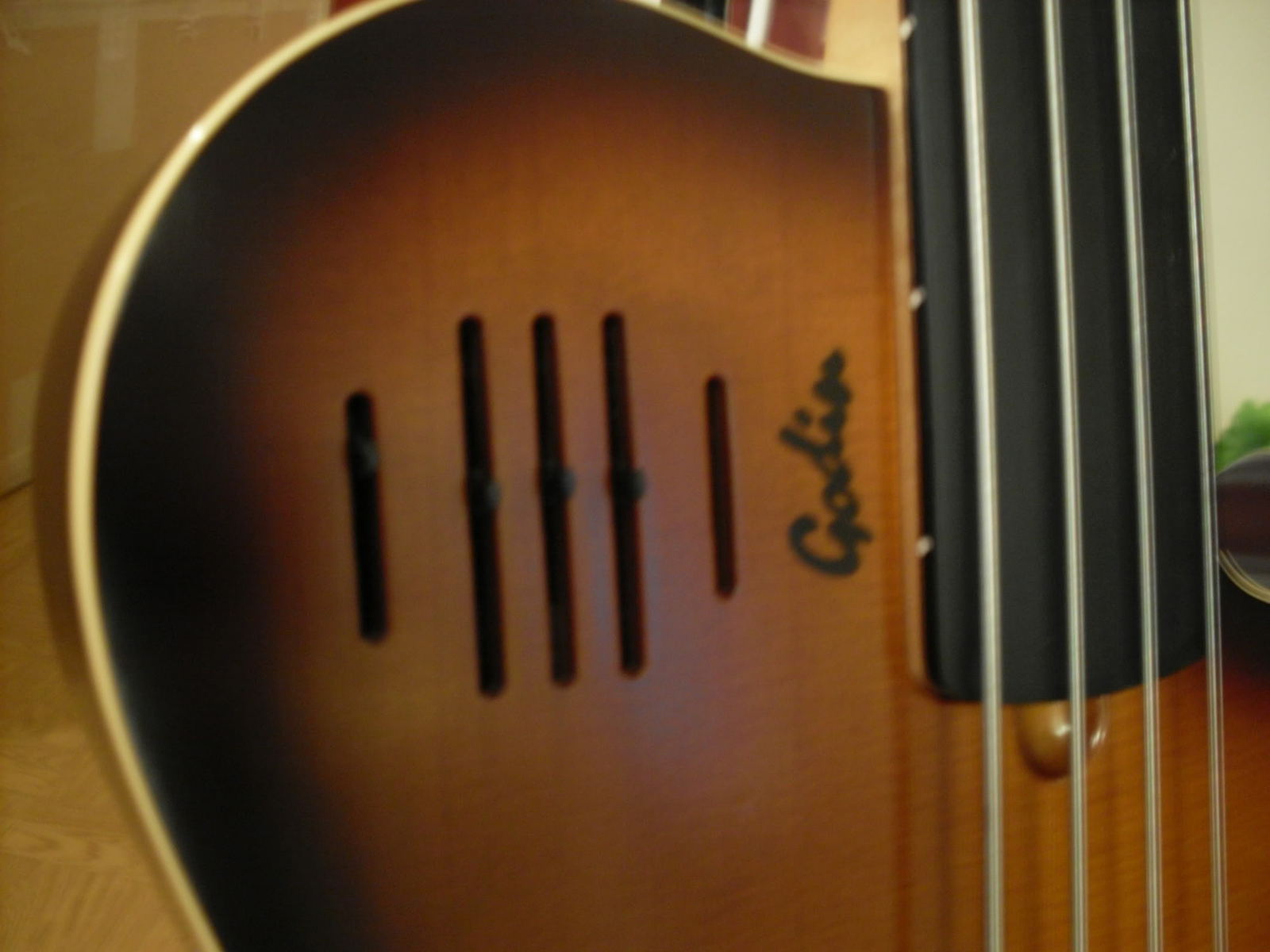 SDC10520.jpg