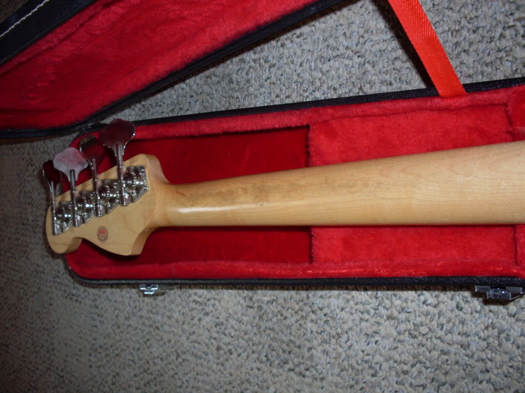 SDC10932.jpg