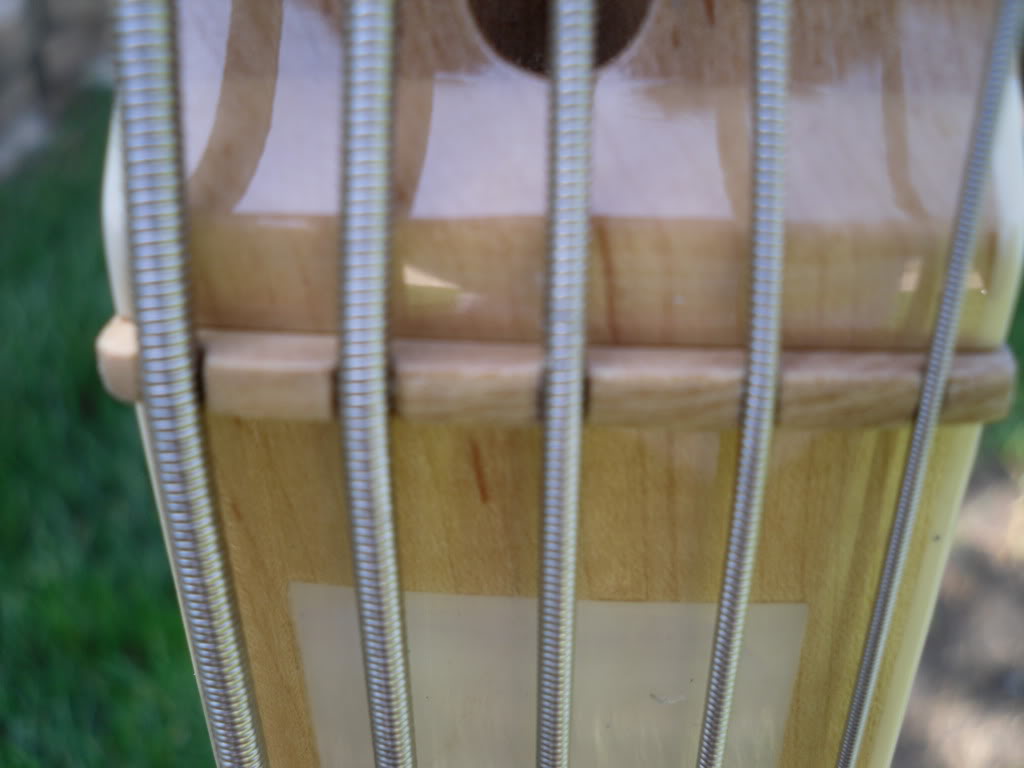 SDC12478.jpg