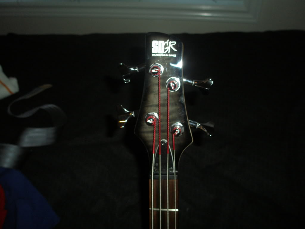 SDGRheadstock1.jpg