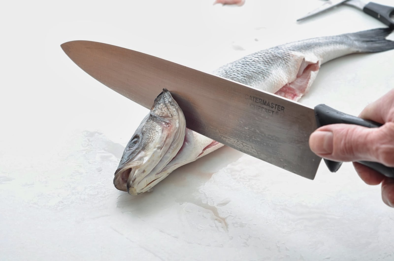 seaBass10.jpg