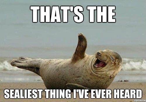 Sealiest-thing-Ive-ever-had.jpg