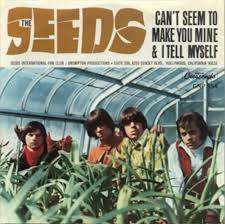 Seeds.jpg