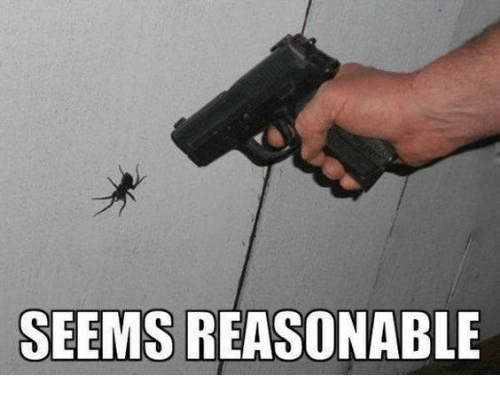 seems-reasonable-3779568.png