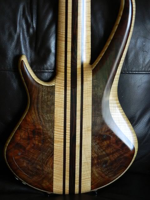 Seifretless4.jpg