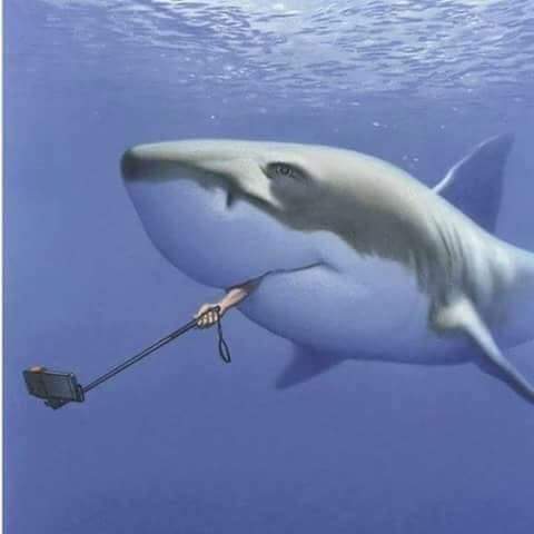 selfie.jpg