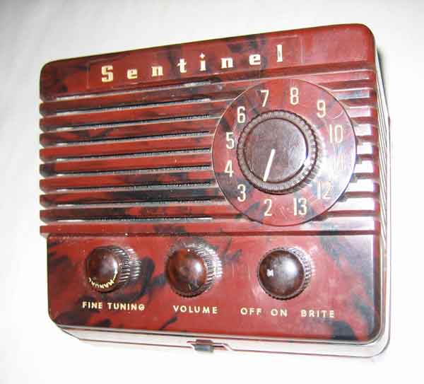 sentinel_remote-1.jpg