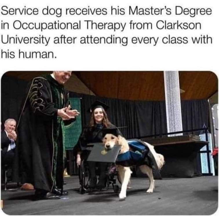 service dog masters.jpg