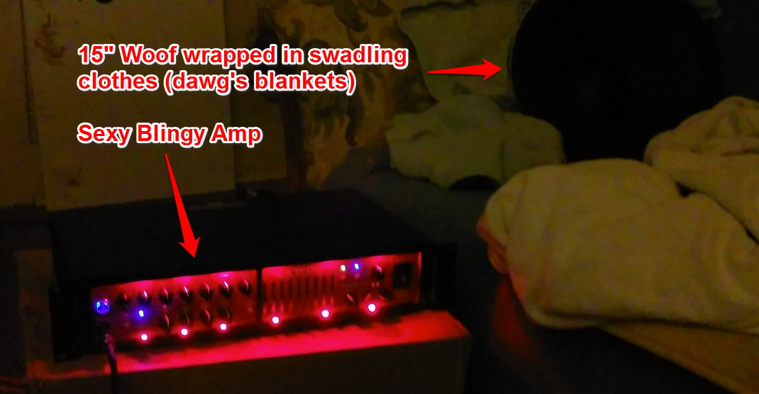 sexyamp.png