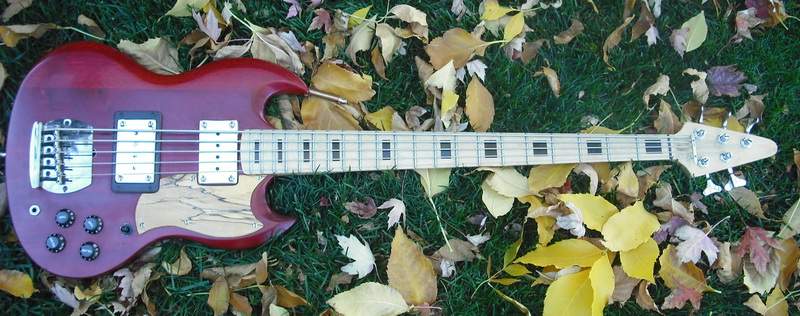 SG 249.JPG