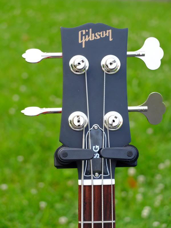 SGBass003.jpg