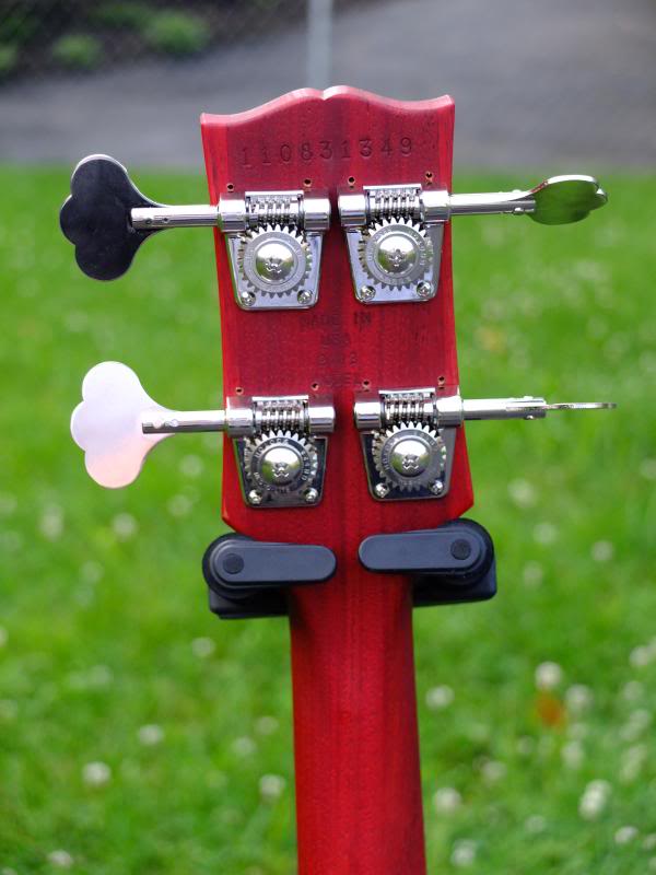 SGBass004.jpg