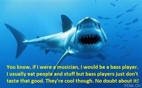 shark bass player.jpg