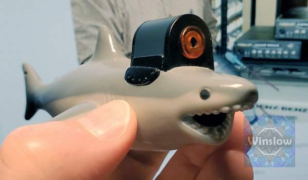 Shark-Laser 1-win.jpg