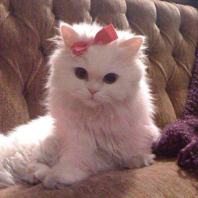 She is the queen.jpg