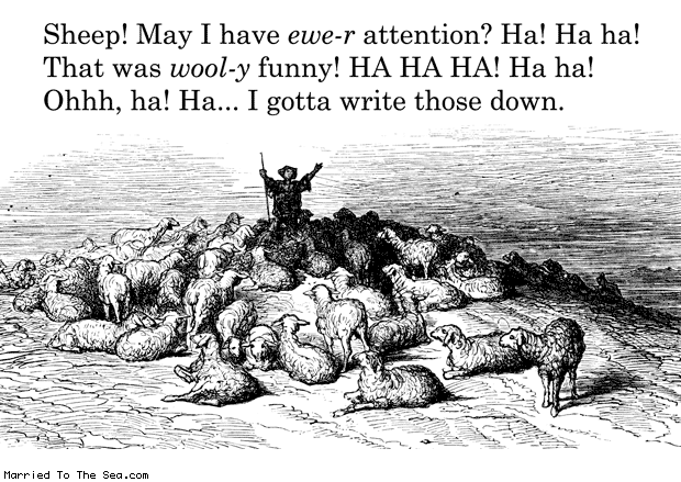 sheep-attention.gif