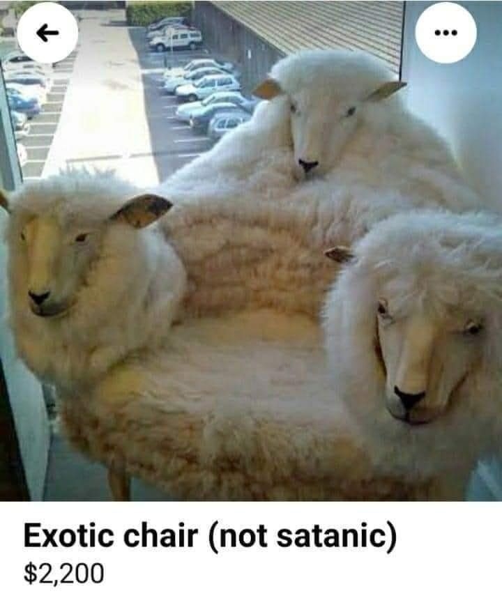 sheep chair.jpg