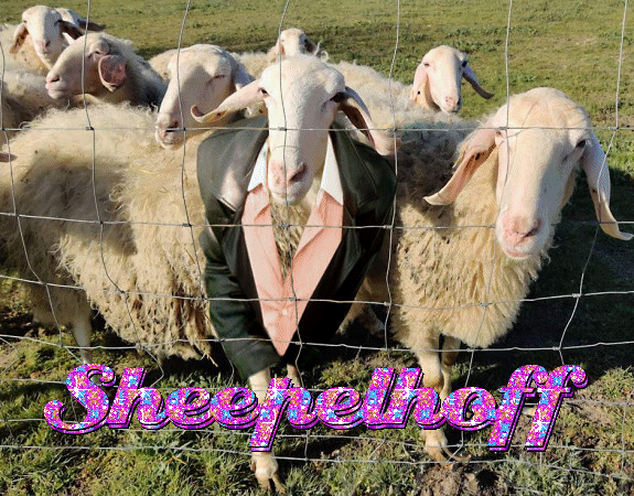 Sheepelhoff-Glitter (anim).gif