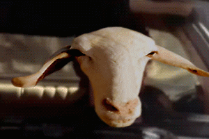 sheepelhoff turbo boost (anim).gif