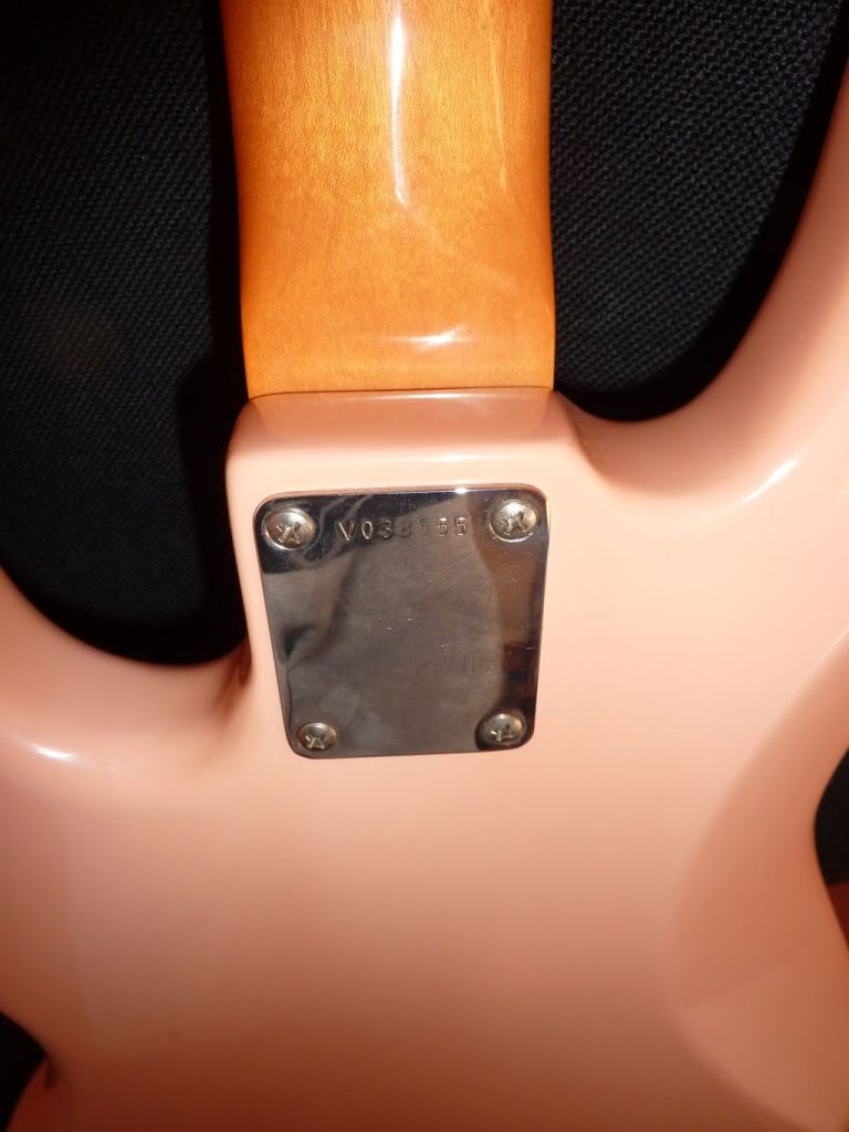 shellpinkJazz011.jpg