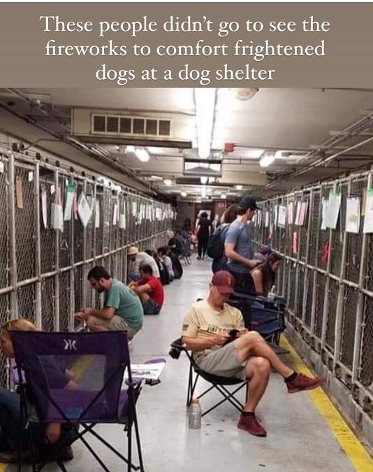 shelter fireworks.jpg