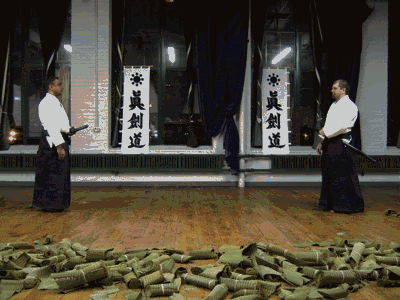 shinkendogif.gif