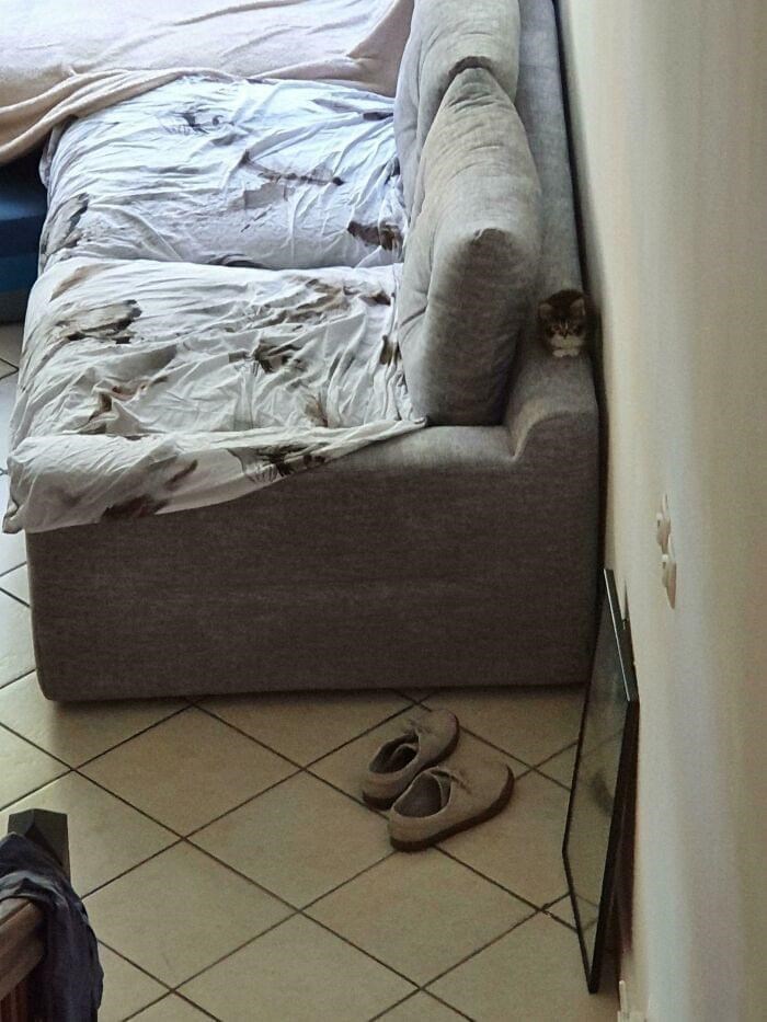 shoe.jpeg