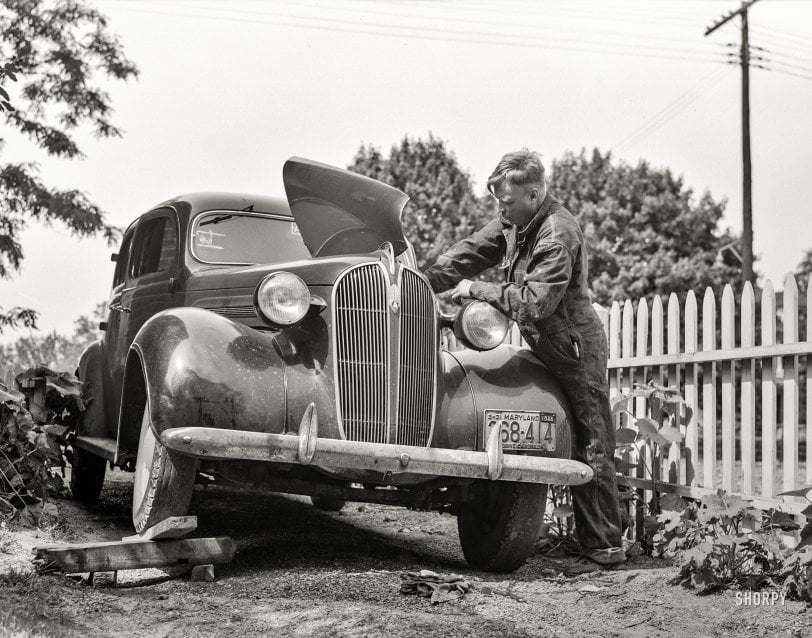 SHORPY-8d29763a.preview.jpg